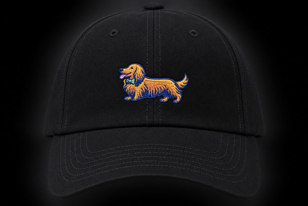 Embroidered dad cap